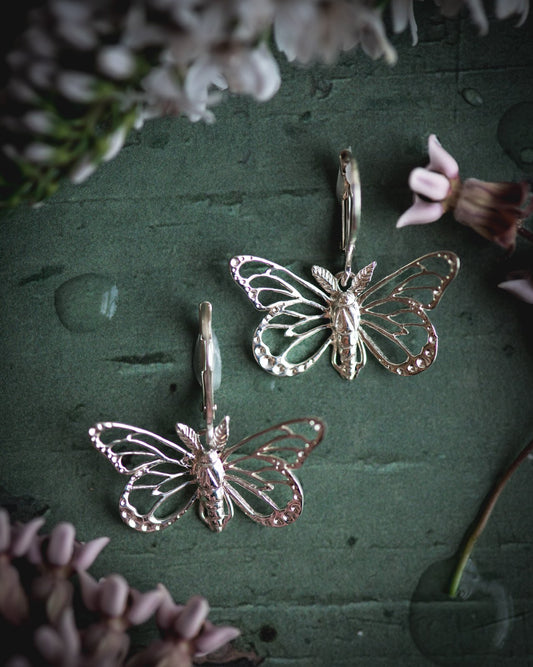 Butterfly Leverback Earrings