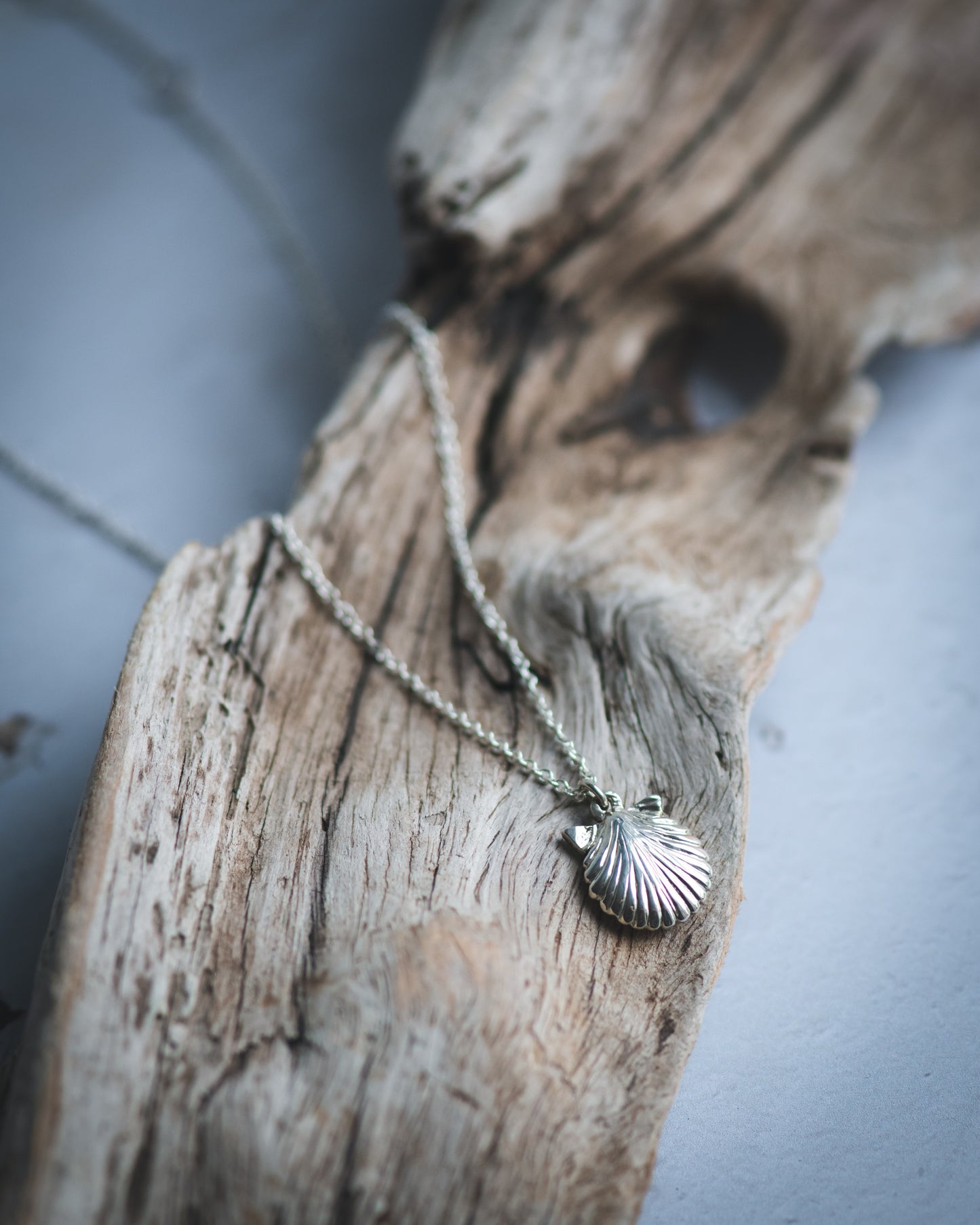 Scallop Shell Pendant in Sterling Silver