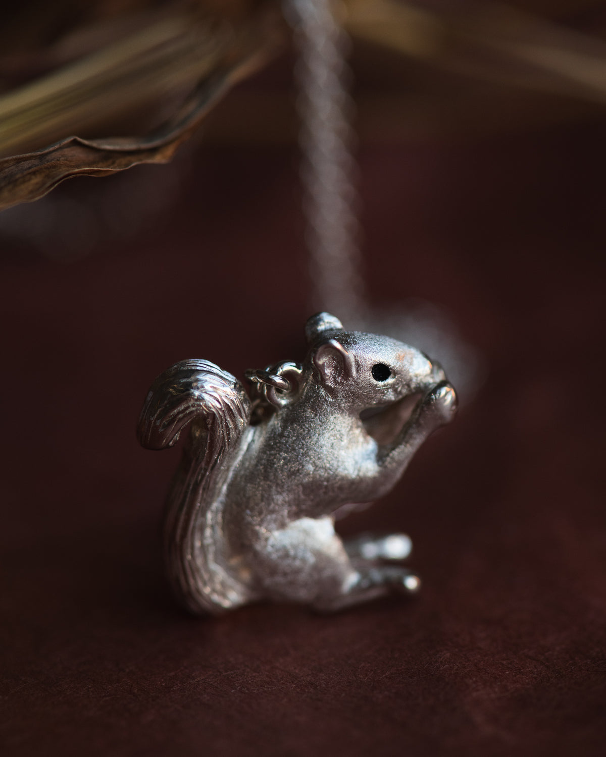 Squirrel