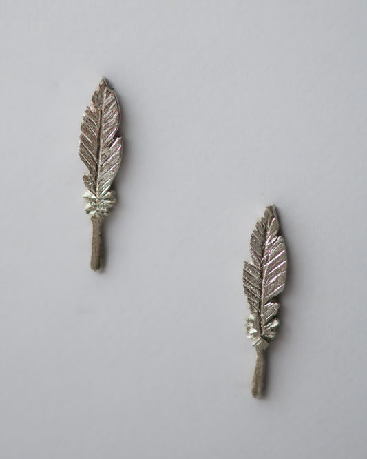 Feather Stud Earrings in Sterling Silver