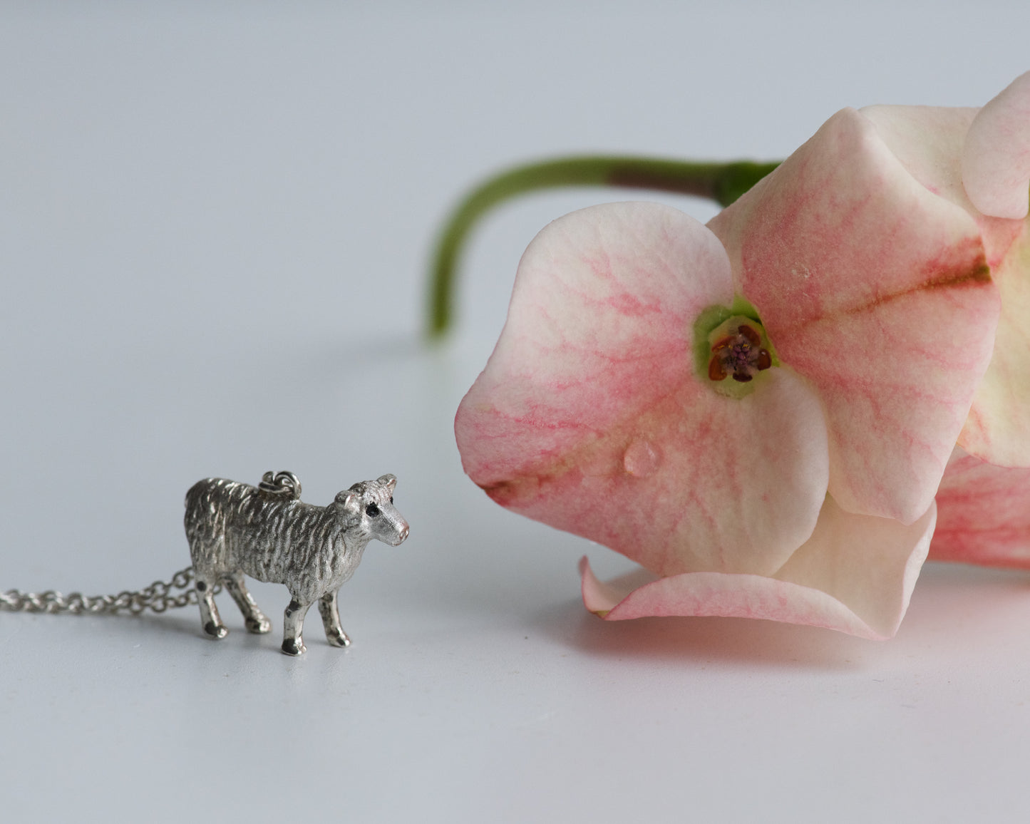 Silver sheep pendant on a chain next to a pink flower on a light background