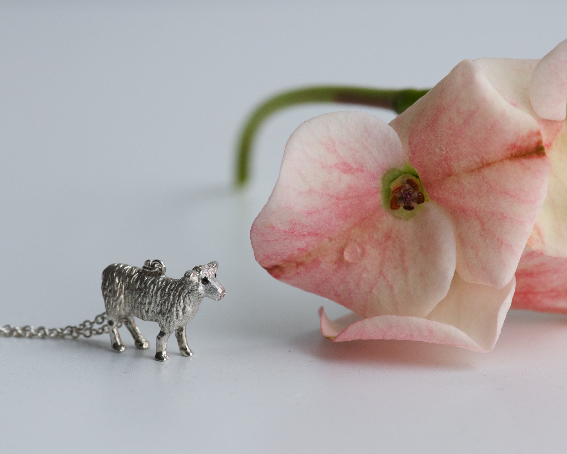 Silver sheep pendant on a chain next to a pink flower on a light background