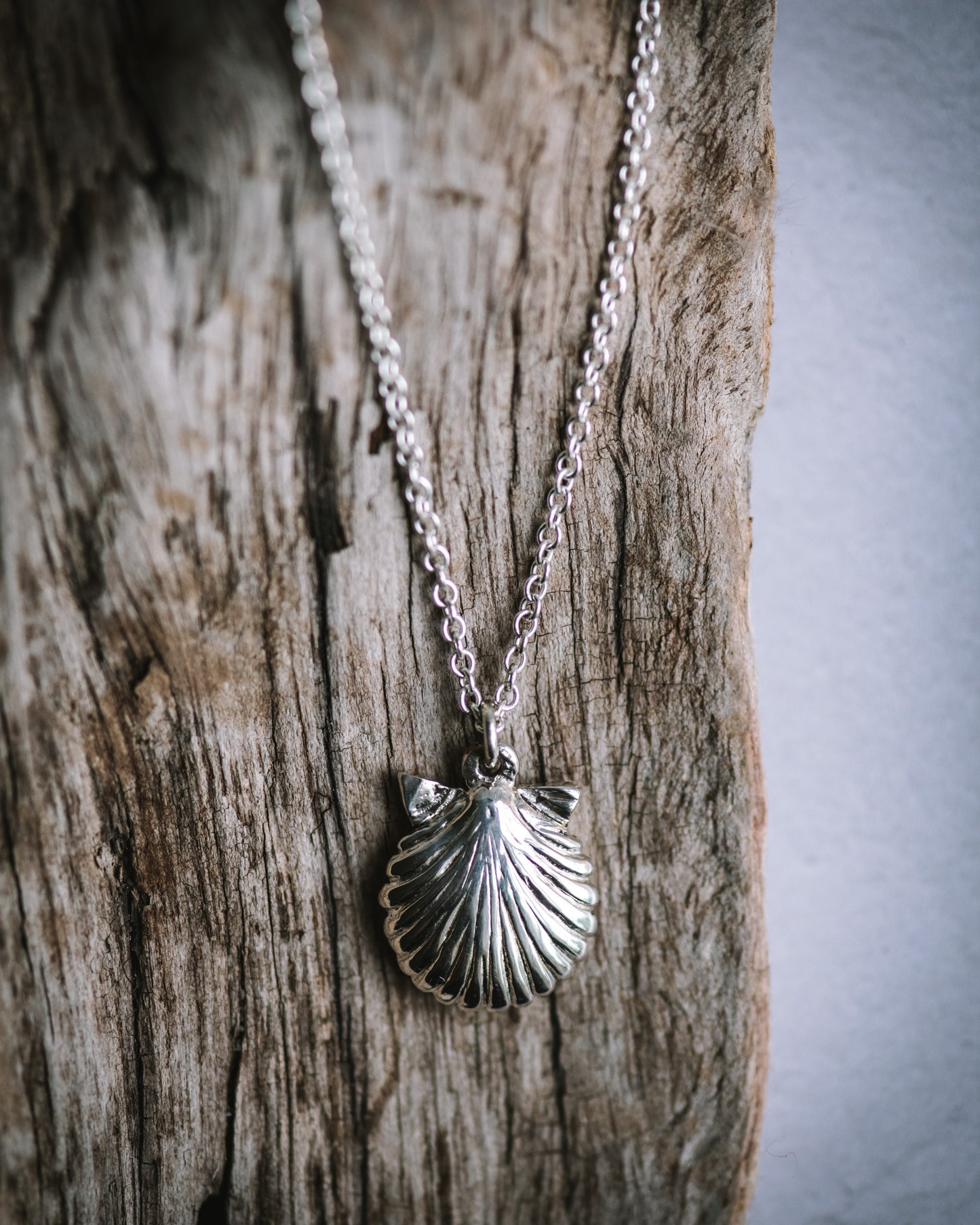 Scallop Shell Pendant