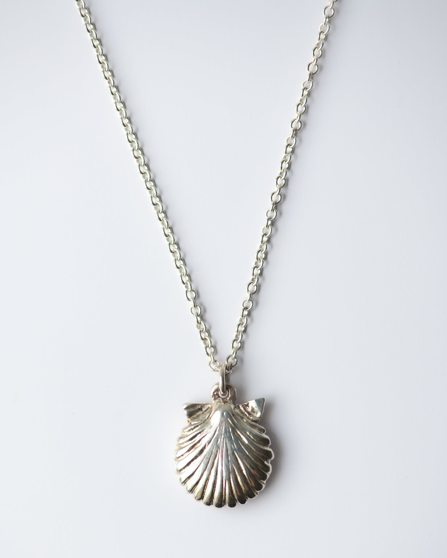 Scallop Shell Pendant
