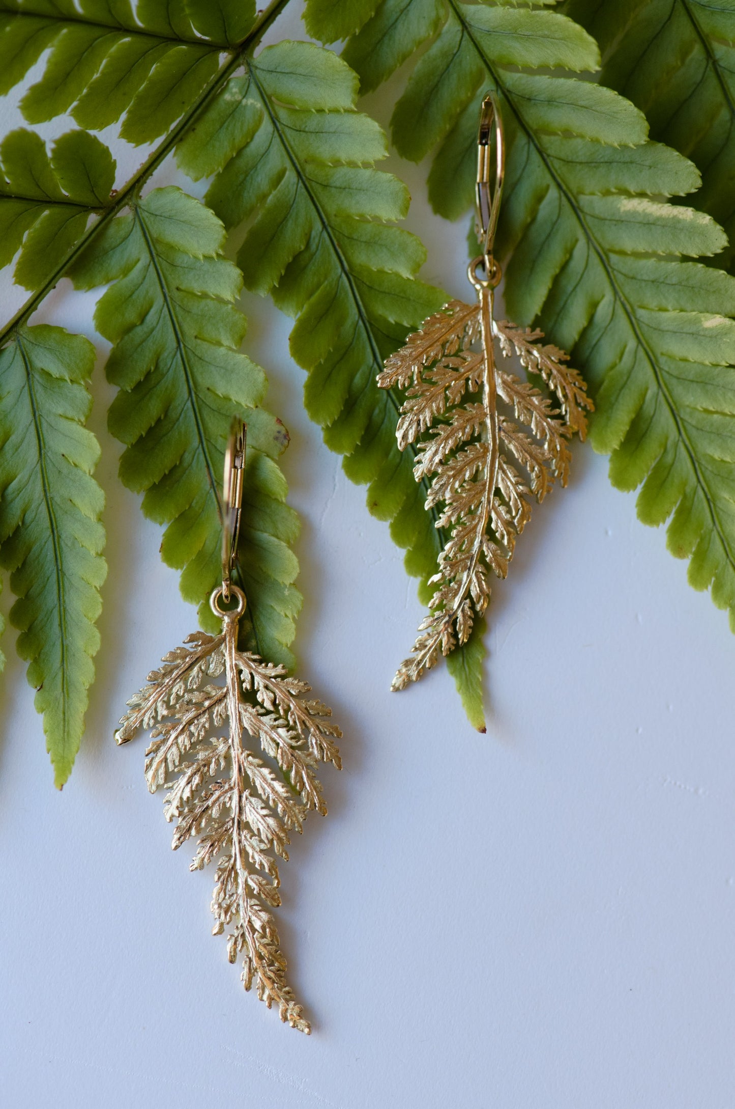 Fern Leverback Earrings in 18K Gold