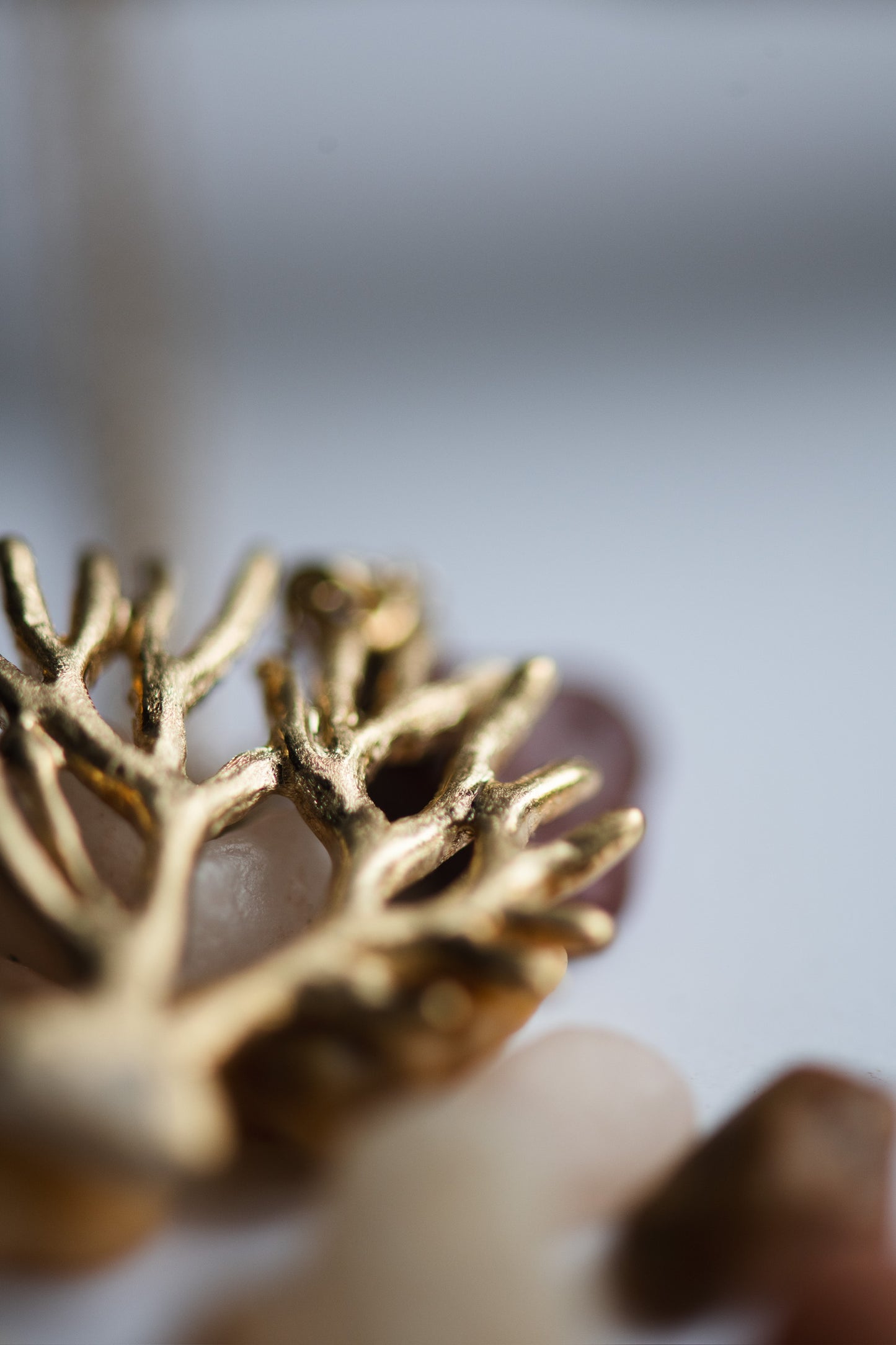 Coral Pendant | 18K Gold