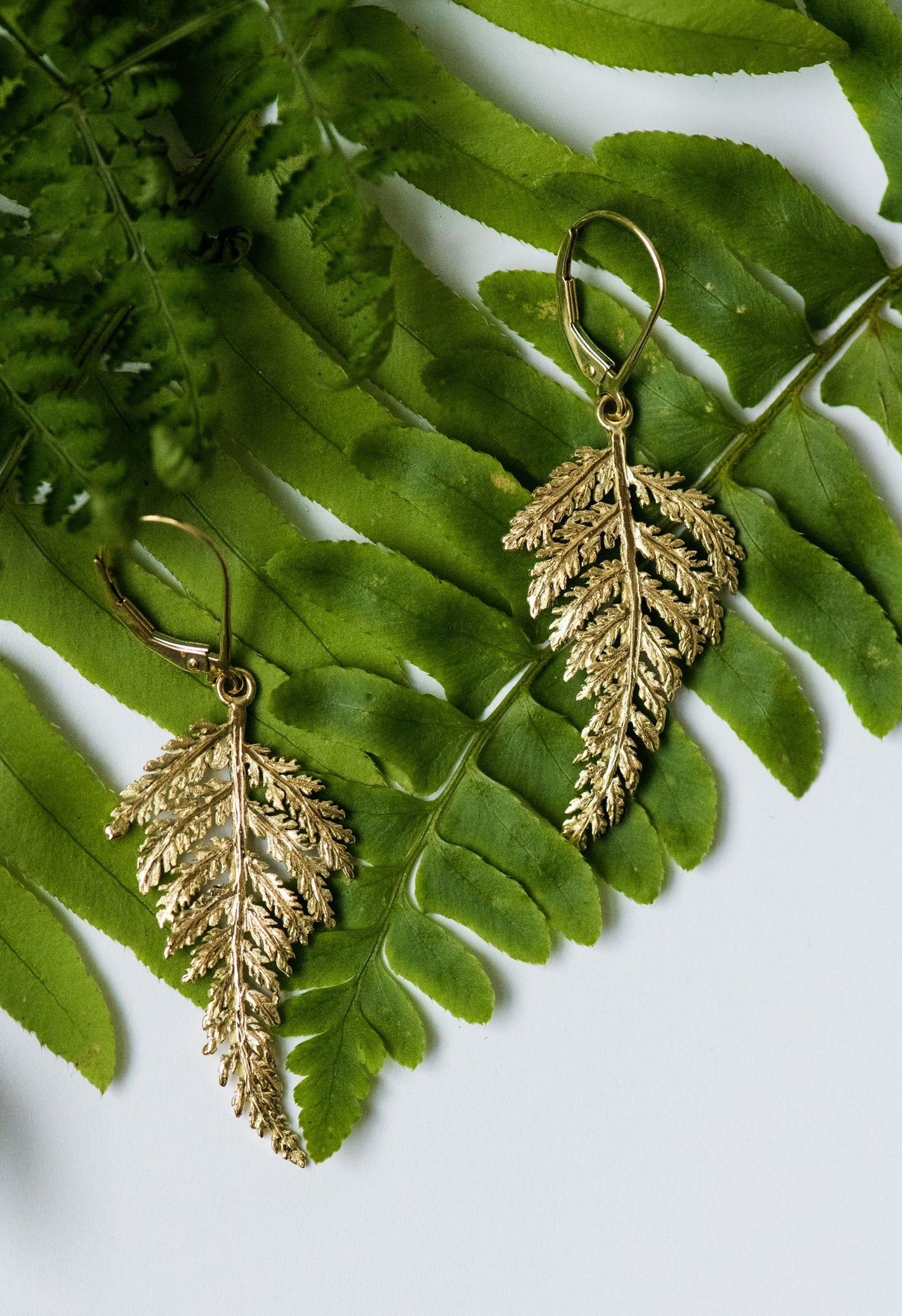 18K Gold Fern Earrings