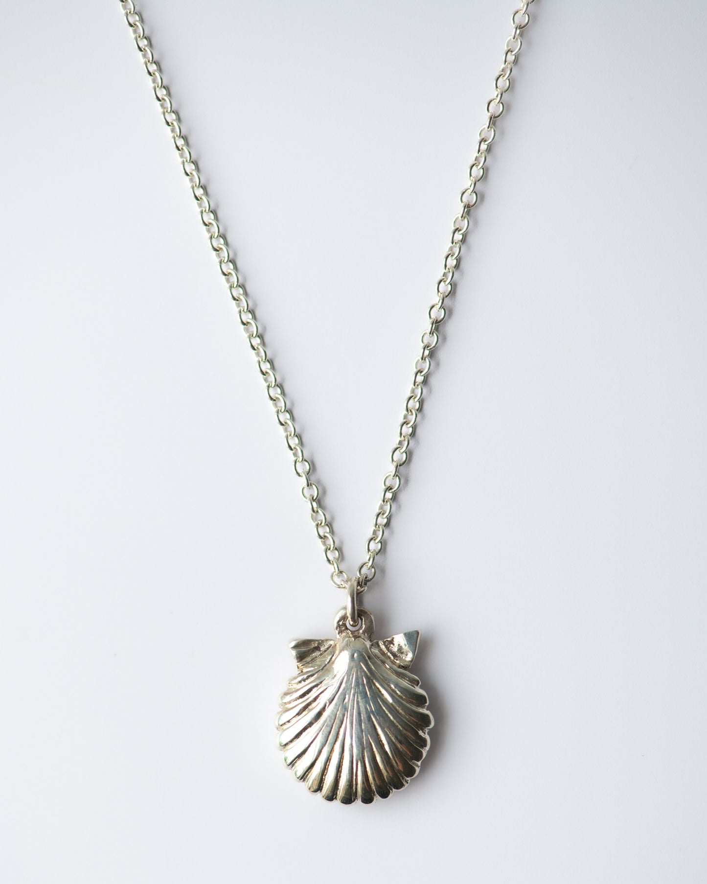 Scallop Shell Necklace